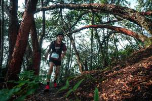 BIB: 
                            <button type="button" onclick="openModal(26344362)" class="btn btn-primary btn-sm float-right btn-popup" data-toggle="modal" data-target=".modal-high-quality">
                        <i class="fas fa-shopping-cart"></i> Add to Cart
                    </button>
                                            <button type="button" onclick="isThisMe(26344362, true)" class="btn btn-success btn-sm float-right btn-popup btn-isme hidden" data-toggle="tooltip" data-placement="bottom" title="นี่คือรูปของคุณใช่ไหม คลิกที่นี่เพื่อเอาเข้าอัลบั้ม">
                        <i class="fas fa-plus"></i> Add to album
                    </button>
                    <button type="button" onclick="isThisMe(26344362, false)" class="btn btn-warning btn-sm float-right btn-popup btn-isnotme hidden">
                        <i class="fas fa-ban"></i> Remove from album
                    </button>